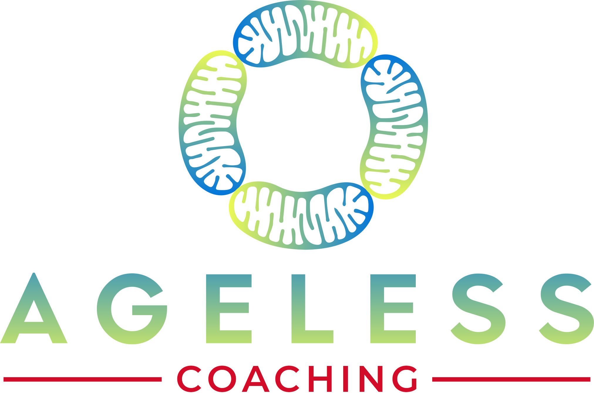 Ageless Coaching™ - 3 x 60 Minutes